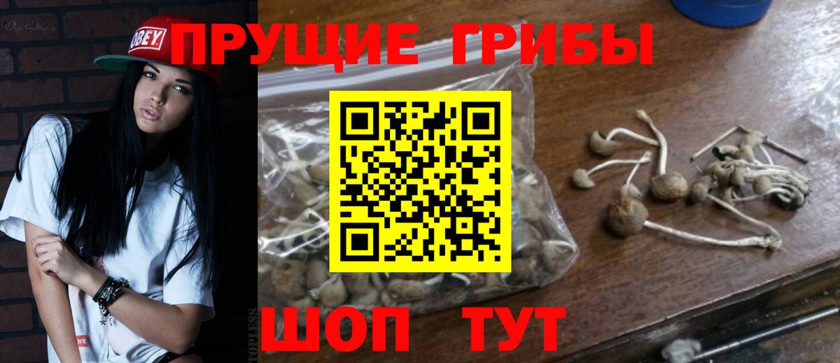 Галлюциногенные грибы прущие грибы  Псилоцибиновые грибы Psilocybine cubensis  Благовещенск  Вход с VPN 