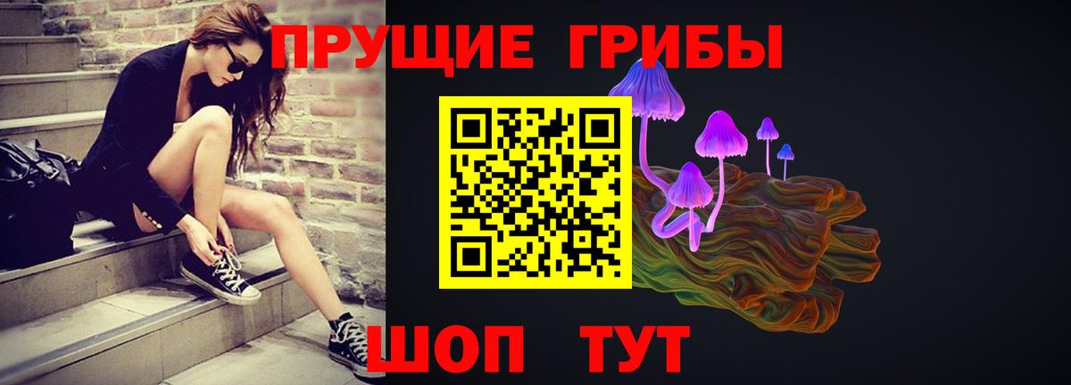 Псилоцибиновые грибы Psilocybine cubensis Благовещенск